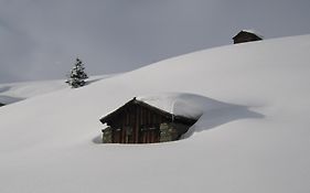 Tschatscha Nova